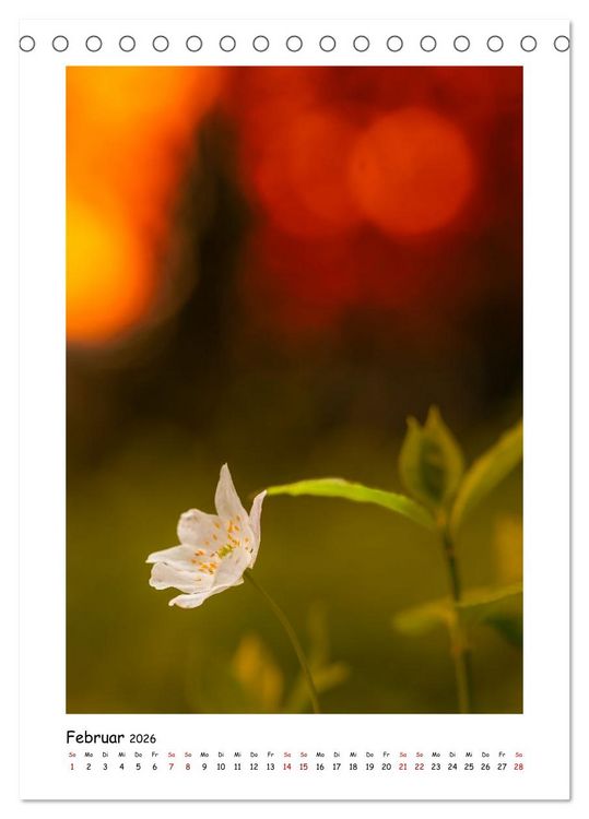 Produktbild: Bubble Bokeh (Tischkalender 2026 DIN A5 hoch), CALVENDO Monatskalender