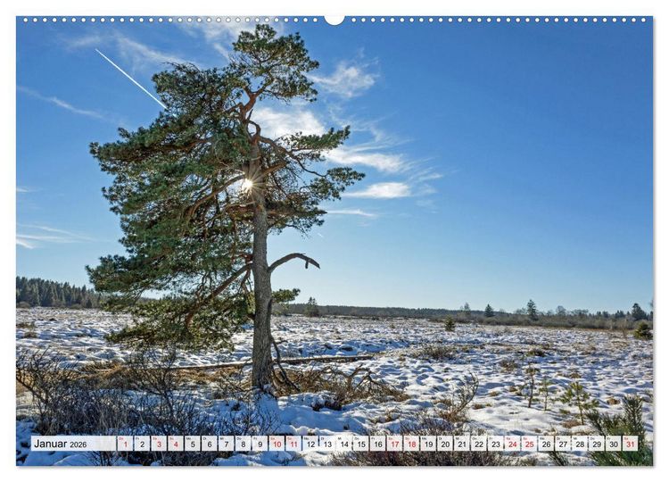Produktbild: Die Eifel und das Hohe Venn (Wandkalender 2026 DIN A2 quer), CALVENDO Monatskalender