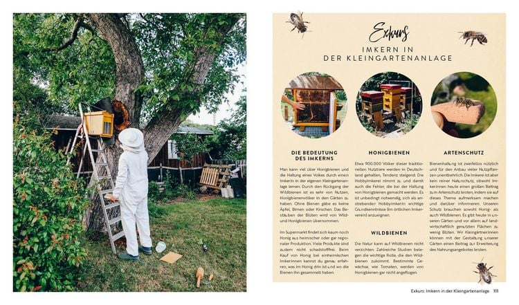Produktbild: Kleine Freiheit Garten &ndash; Gl&uuml;cklich im Schrebergarten