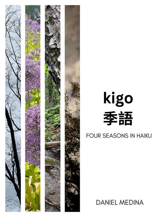Produktbild: KIGO
