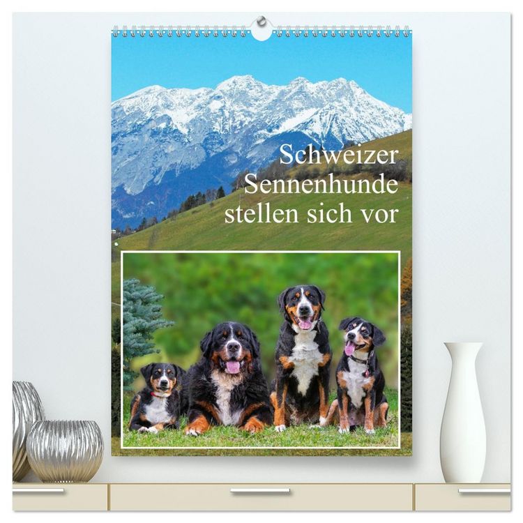 Produktbild: Schweizer Sennenhunde stellen sich vor (hochwertiger Premium Wandkalender 2026 DIN A2 hoch), Kunstdruck in Hochglanz