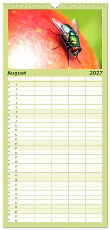 Produktbild: Familienplaner 2027 - INSEKTEN - Makrofotografie in freier Natur mit 5 Spalten (Wandkalender, 21 x 45 cm) CALVENDO