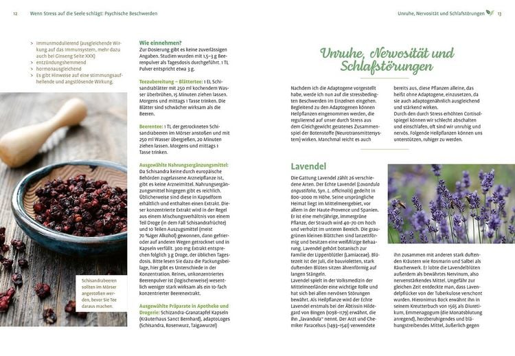 Produktbild: Mit Naturheilkunde Stress bew&auml;ltigen