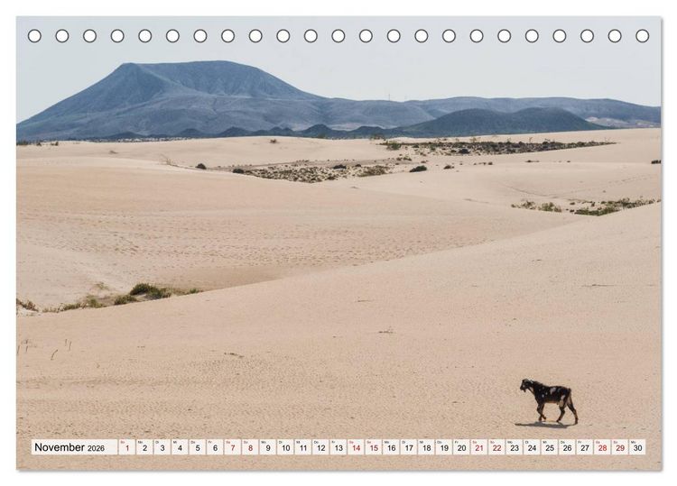 Produktbild: Fuerteventura Sand und bunte Farben (Tischkalender 2026 DIN A5 quer), CALVENDO Monatskalender