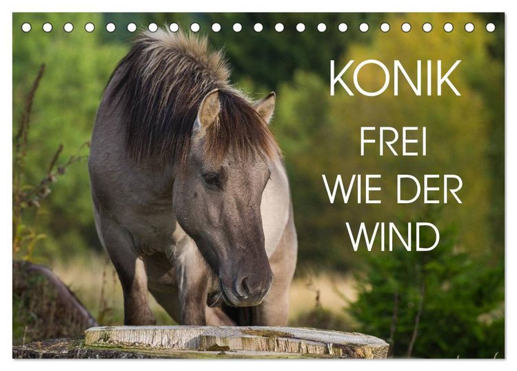 Produktbild: Konik - Frei geboren (Tischkalender 2026 DIN A5 quer), CALVENDO Monatskalender