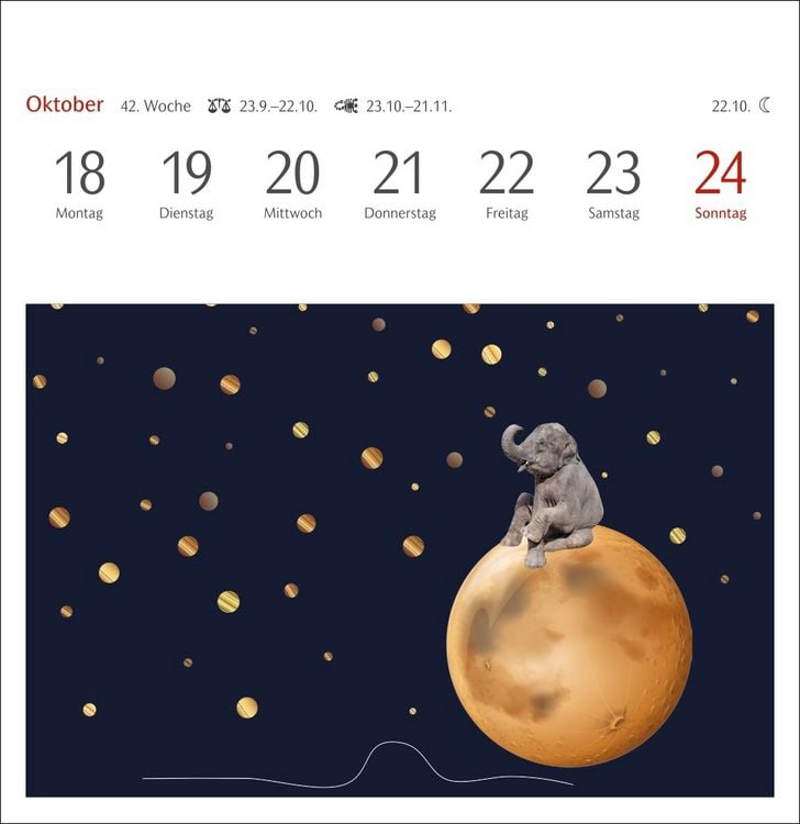 Produktbild: Welches Buch bin ich? Premium-Postkartenkalender 2027 - Literarischer R&auml;tselkalender