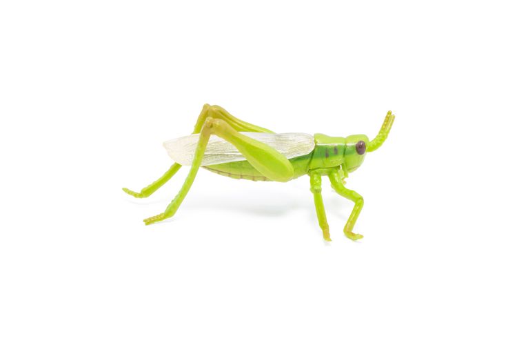 Produktbild: Spielfigur Heuschrecke 7cm