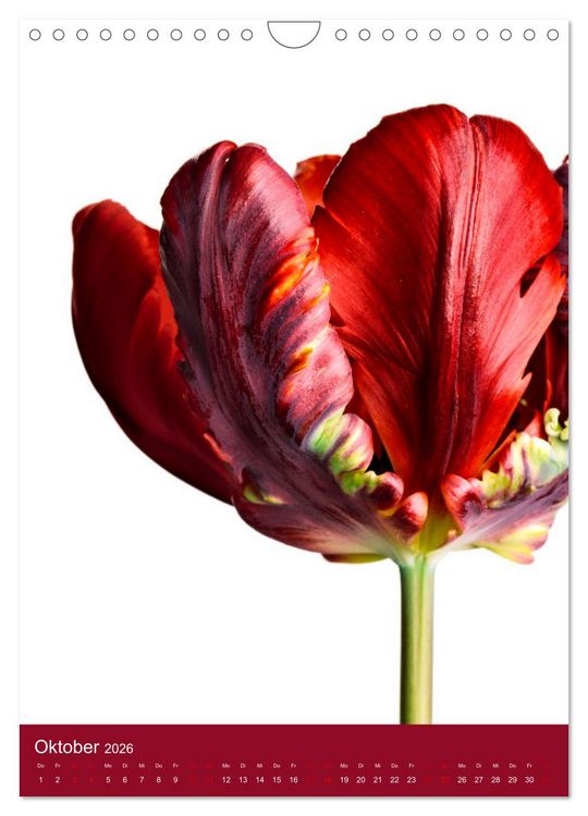 Produktbild: Nat&uuml;rlich Blumen. (Wandkalender 2026 DIN A4 hoch), CALVENDO Monatskalender