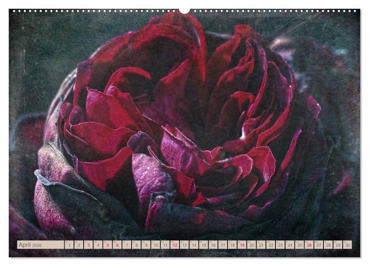 Produktbild: Rosenduft Shabby Chic Style (Wandkalender 2026 DIN A2 quer), CALVENDO Monatskalender