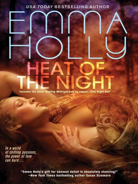 Produktbild: Heat of the Night