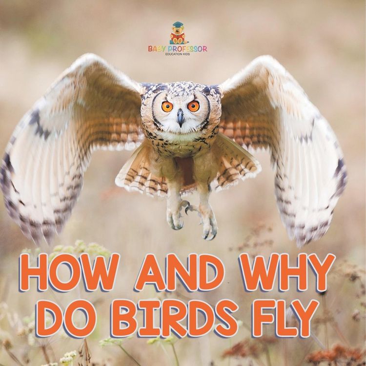 Produktbild: How and Why Do Birds Fly