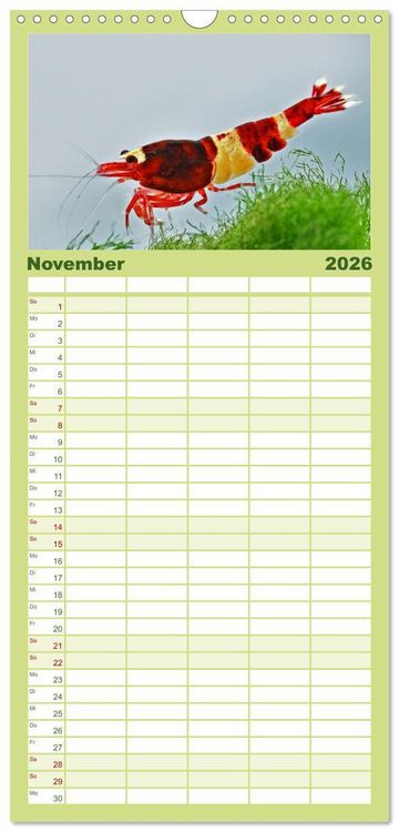 Produktbild: Familienplaner 2026 - Dwarf Shrimps mit 5 Spalten (Wandkalender, 21 x 45 cm) CALVENDO