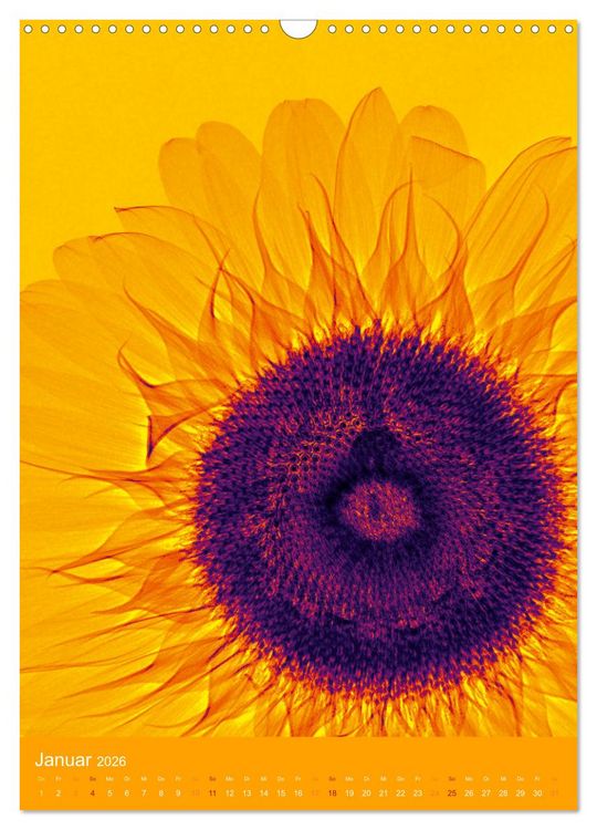 Produktbild: Durchleuchtete Blumenwelt 2026 (Wandkalender 2026 DIN A3 hoch), CALVENDO Monatskalender