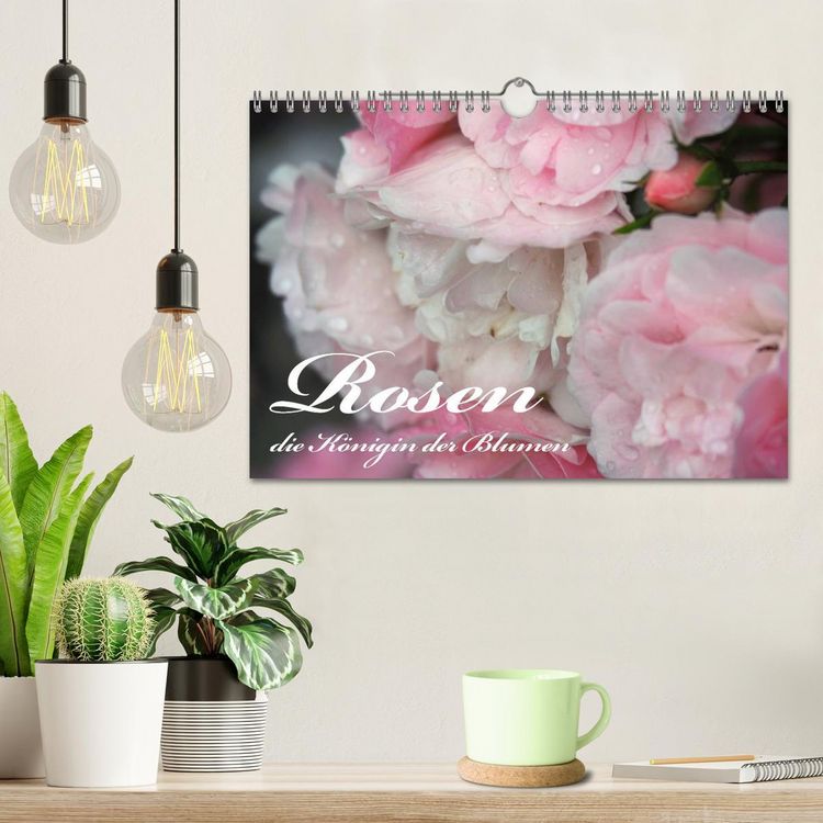 Produktbild: Rosen, die K&ouml;nigin der Blumen (Wandkalender 2026 DIN A4 quer), CALVENDO Monatskalender