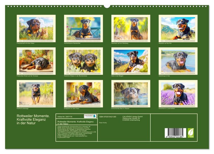 Produktbild: Rottweiler Momente. Kraftvolle Eleganz in der Natur (hochwertiger Premium Wandkalender 2026 DIN A2 quer), Kunstdruck in Hochglanz