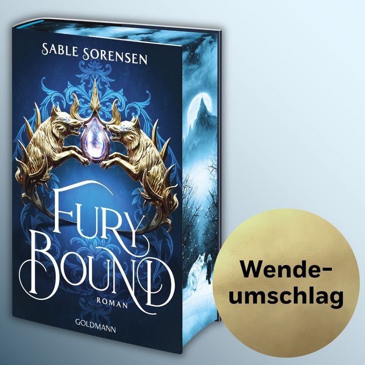Produktbild: Fury Bound