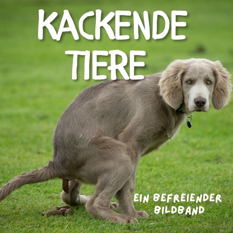 Produktbild: Kackende Tiere
