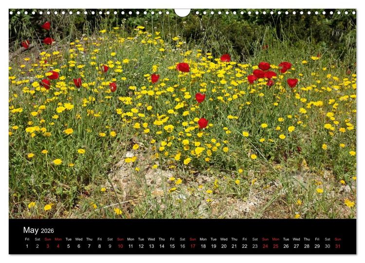Produktbild: The Greek Island Of Ikaria (Wall Calendar 2026 DIN A3 landscape), CALVENDO 12 Month Wall Calendar