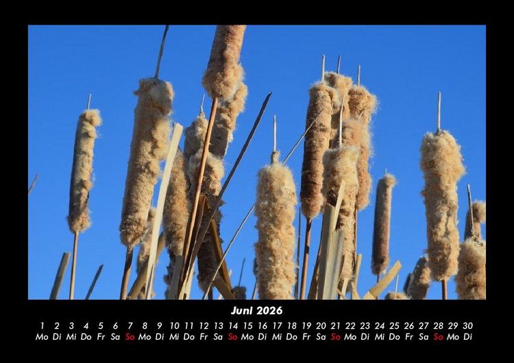 Produktbild: Bilder aus der Natur 2026 Fotokalender DIN A3