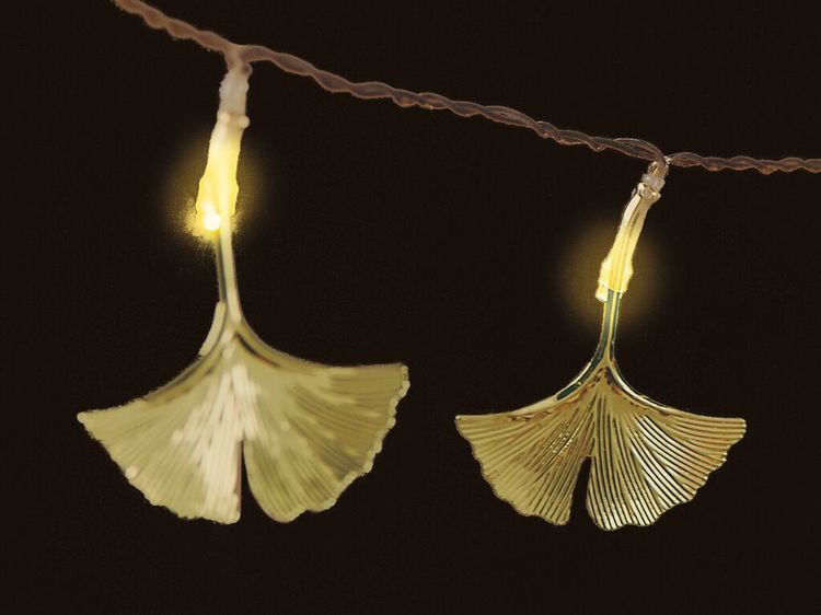 Produktbild: Moses. libri_x Lichterkette Ginkgo