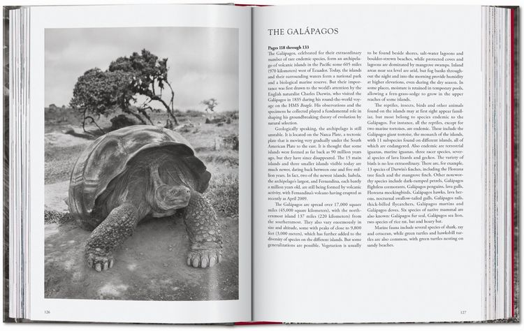 Produktbild: Sebasti&atilde;o Salgado