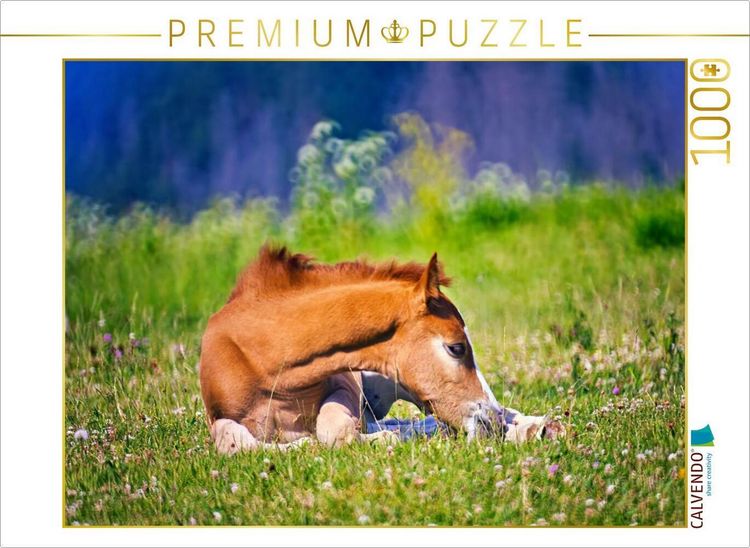 Produktbild: CALVENDO Puzzle kurze Erholung im Liegen | 1000 Teile Lege-Gr&ouml;&szlig;e 64x48cm Foto-Puzzle f&uuml;r gl&uuml;ckliche Stunden