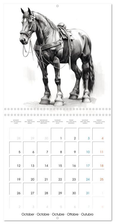 Produktbild: &Eacute;l&eacute;gance &eacute;quine (Calendrier mural carr&eacute; 2026 30x30 cm) Calendrier double avec une page pour vos prises de notes
