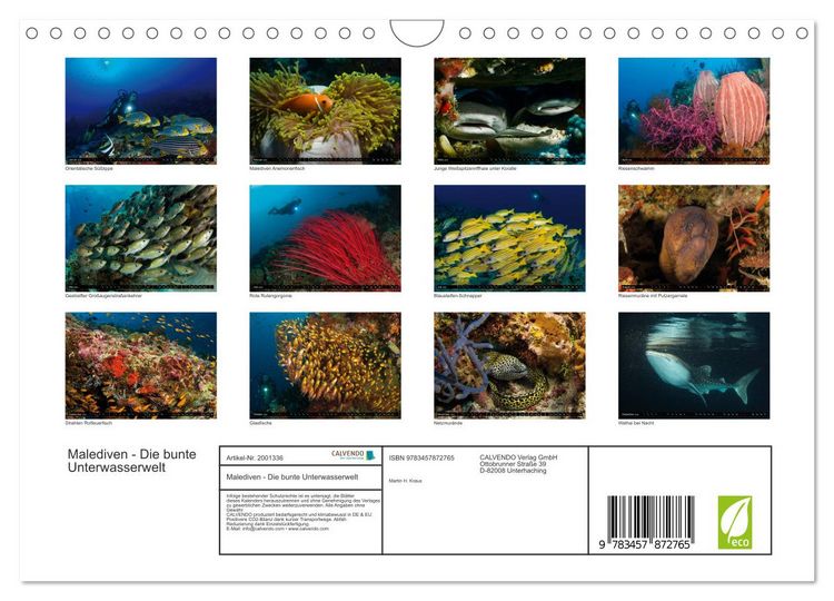 Produktbild: Malediven - Die bunte Unterwasserwelt (Wandkalender 2026 DIN A4 quer), CALVENDO Monatskalender