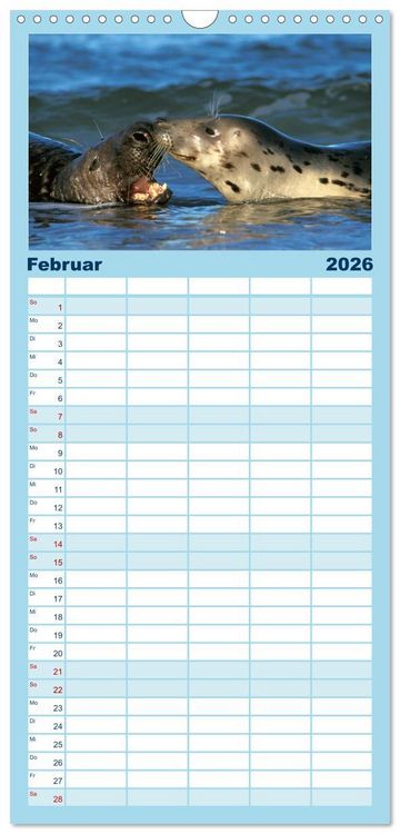 Produktbild: Familienplaner 2026 - Faszination Kegelrobben und Seehunde mit 5 Spalten (Wandkalender, 21 x 45 cm) CALVENDO