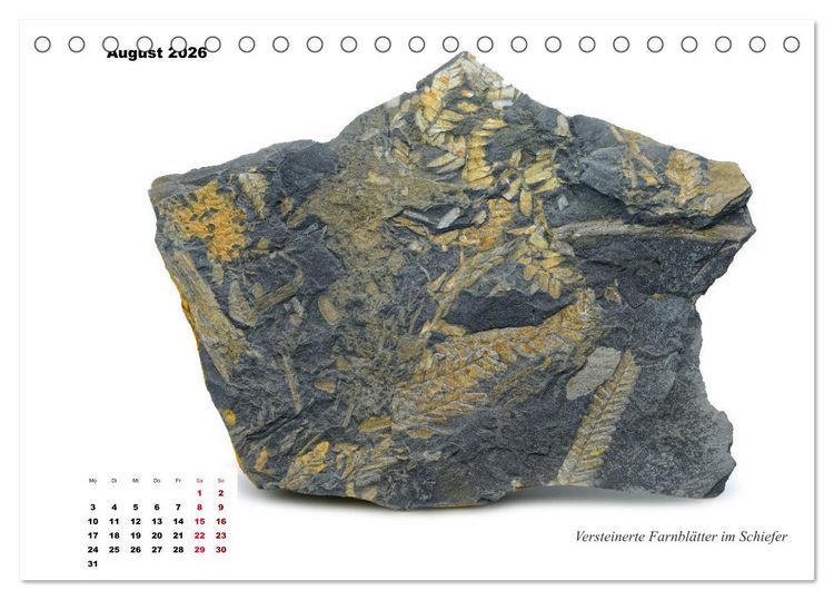 Produktbild: Fossilien - Ammoniten, Trilobiten, Erdgeschichte (Tischkalender 2026 DIN A5 quer), CALVENDO Monatskalender