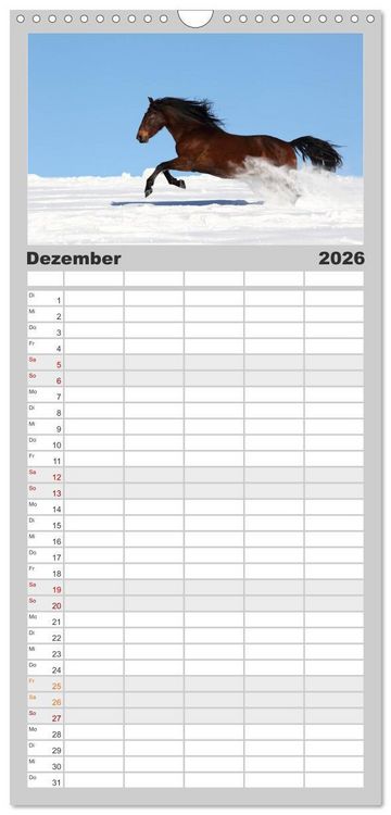 Produktbild: Familienplaner 2026 - Pferde - im Galopp durch's Jahr mit 5 Spalten (Wandkalender, 21 x 45 cm) CALVENDO