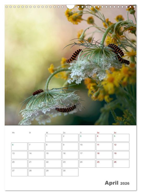 Produktbild: Helden in der Natur (Wandkalender 2026 DIN A3 hoch), CALVENDO Monatskalender