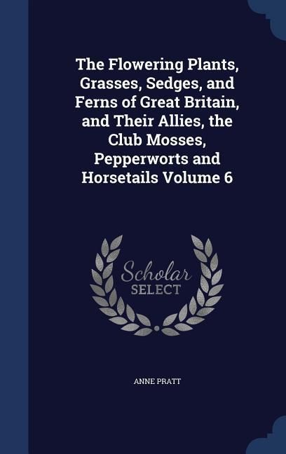 Produktbild: The Flowering Plants, Grasses, Sedges, and Ferns of Great Britain, and Their Allies, the Club Mosses, Pepperworts and Horsetails Volume 6