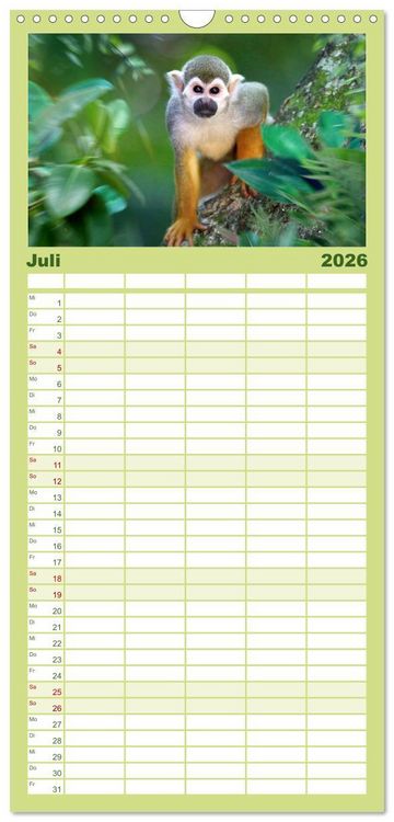 Produktbild: Familienplaner 2026 - Hallo Dschungel - Artwork mit 5 Spalten (Wandkalender, 21 x 45 cm) CALVENDO