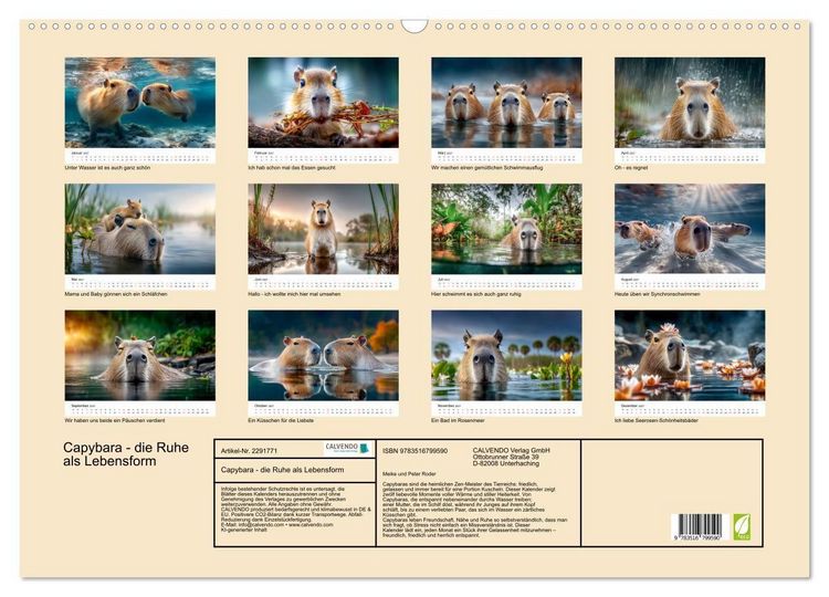 Produktbild: Capybara - die Ruhe als Lebensform (Wandkalender 2027 DIN A2 quer), CALVENDO Monatskalender