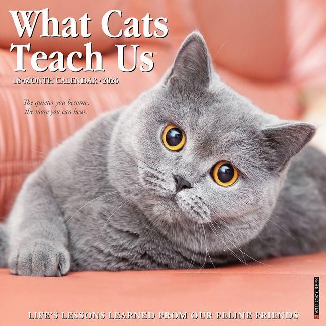 Produktbild: What Cats Teach Us 2026 Wall Calendar