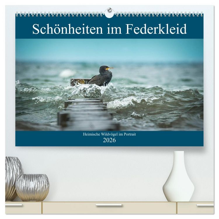 Produktbild: Sch&ouml;nheiten im Federkleid - Heimische Wildv&ouml;gel im Portrait (hochwertiger Premium Wandkalender 2026 DIN A2 quer), Kunstdruck in Hochglanz