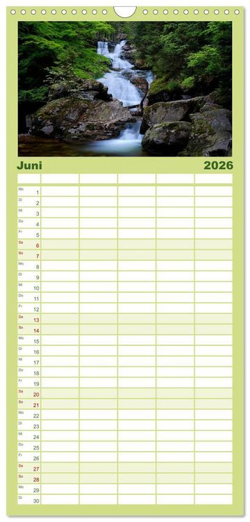 Produktbild: Familienplaner 2026 - Mysterium Wald mit 5 Spalten (Wandkalender, 21 x 45 cm) CALVENDO