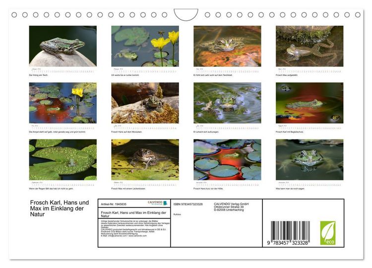 Produktbild: Frosch Karl, Hans und Max im Einklang der Natur (Wandkalender 2026 DIN A4 quer), CALVENDO Monatskalender