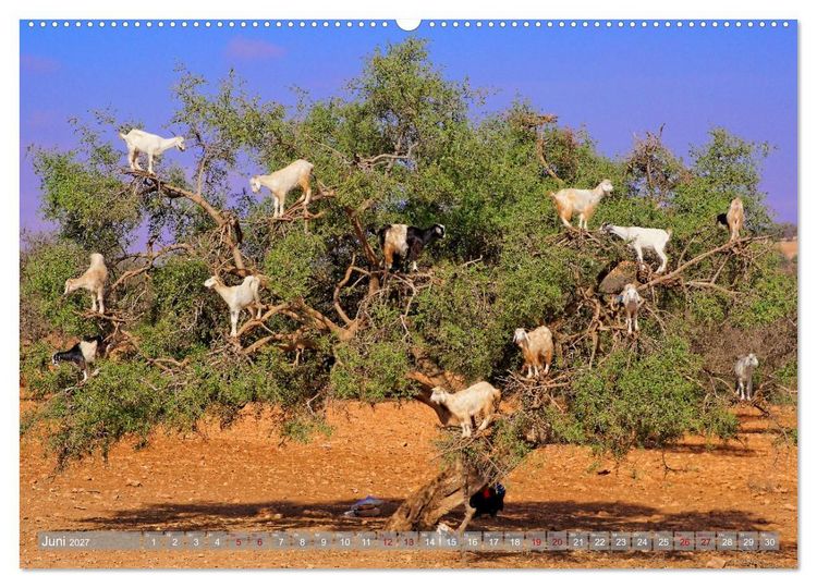 Produktbild: neunziggrad I photoart: marokko (hochwertiger Premium Wandkalender 2027 DIN A2 quer), Kunstdruck in Hochglanz