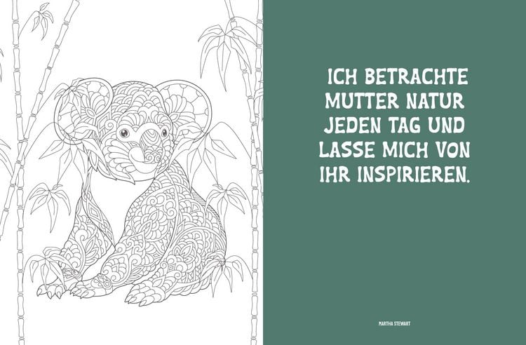 Produktbild: Colorful Mandala &ndash; Mandala &ndash; Dschungeltiere