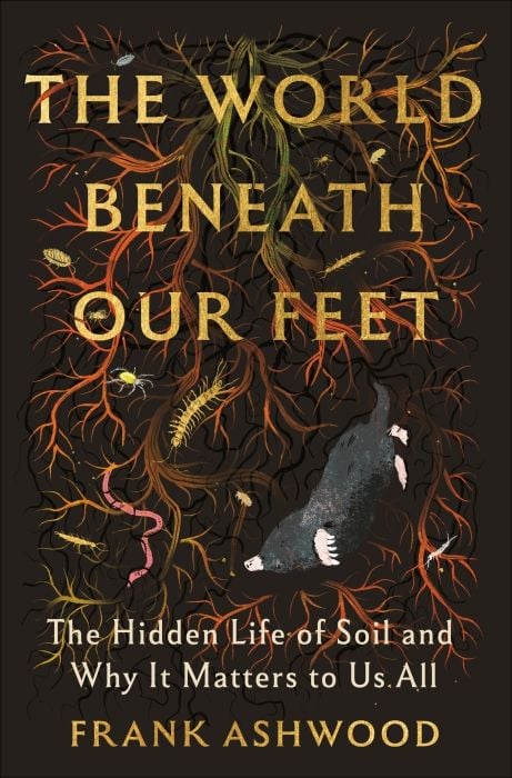 Produktbild: The World Beneath Our Feet