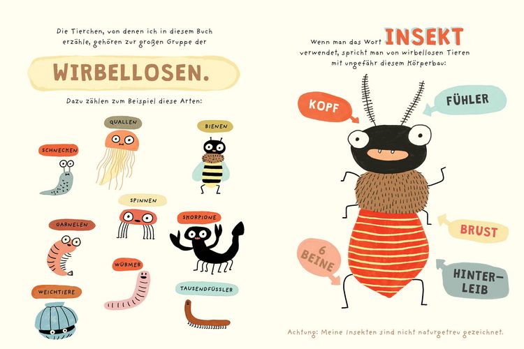 Produktbild: K&auml;ferkolonne