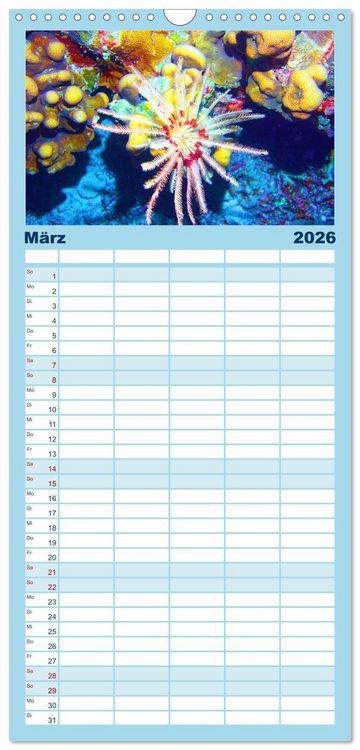 Produktbild: Familienplaner 2026 - Geheimnisvolle Welt unter Wasser - Nachts am Riff mit 5 Spalten (Wandkalender, 21 x 45 cm) CALVENDO