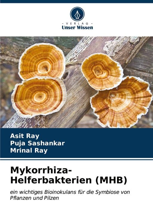 Produktbild: Mykorrhiza-Helferbakterien (MHB)