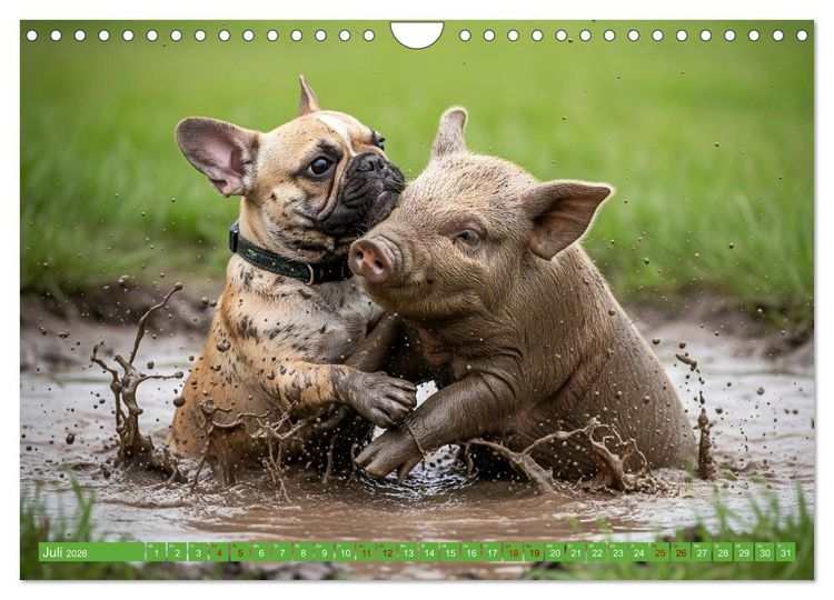 Produktbild: Muddi Buddies &ndash; Freundschaft im Matsch (Wandkalender 2026 DIN A4 quer), CALVENDO Monatskalender
