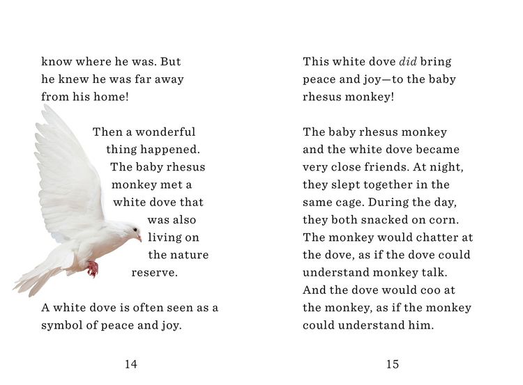 Produktbild: Holland, J: Monkey and the Dove