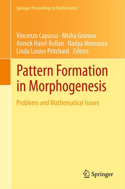 Produktbild: Pattern Formation in Morphogenesis