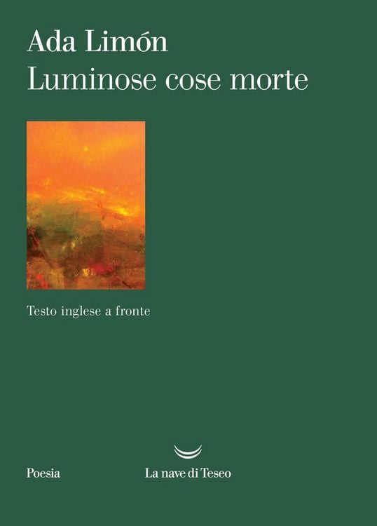 Produktbild: Luminose cose morte. Testo inglese a fronte