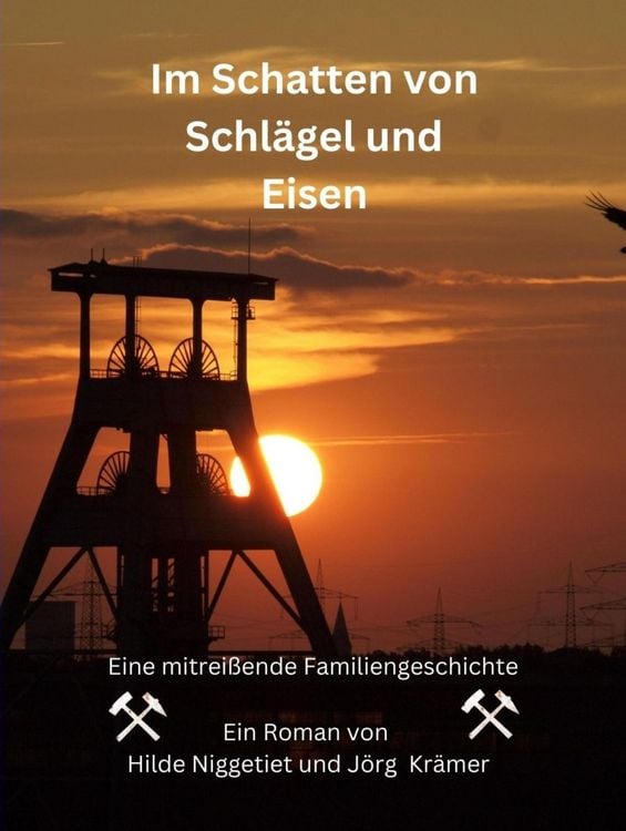 Produktbild: Im Schatten von Schl&auml;gel und Eisen